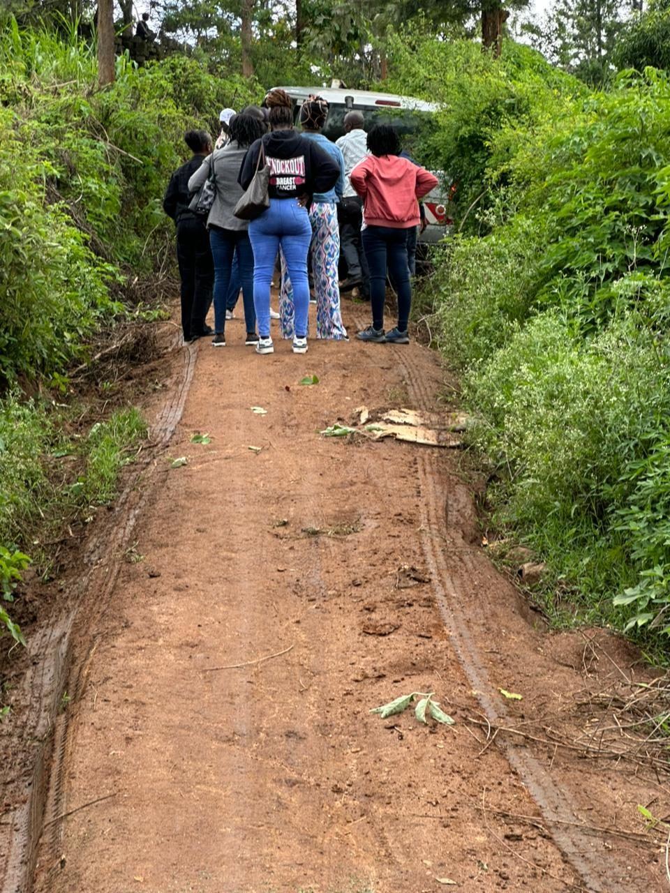 a team walking along a forest path on a field visit